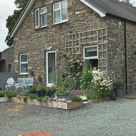 Villa Pant Glas Barn Llanbrynmair Exterior foto