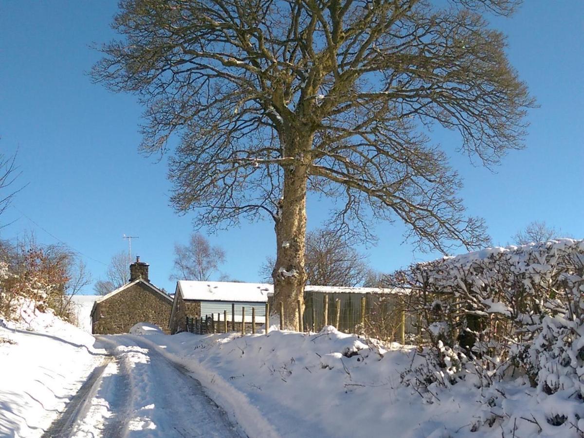 Villa Pant Glas Barn Llanbrynmair Exterior foto