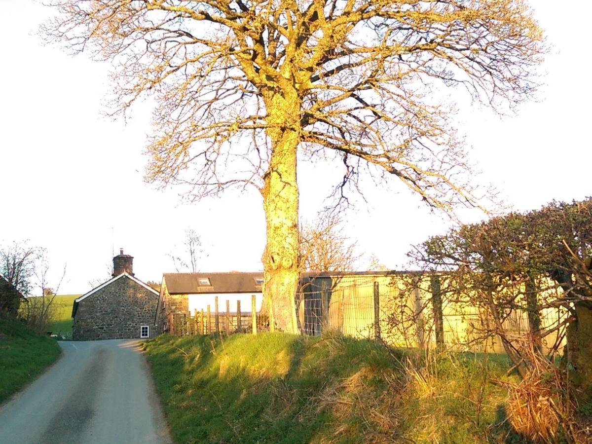 Villa Pant Glas Barn Llanbrynmair Exterior foto